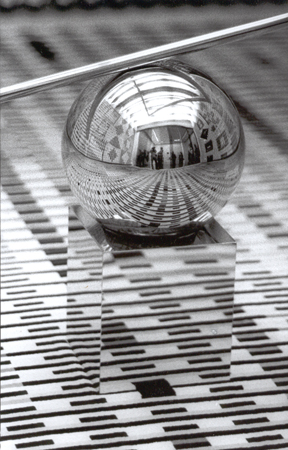 Opera dall’archivio della III edizione di Imago Mundi a Milano, 2004